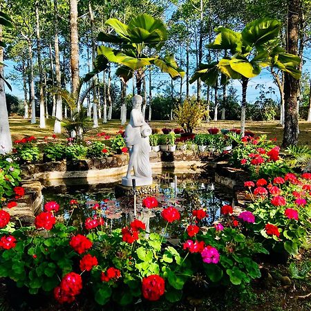 Je T'Aime Villa - Khu Nghi Duong Nha Vuon Nam Giua Thien Nhien Bao La Hoa Co Bao Loc Exteriér fotografie