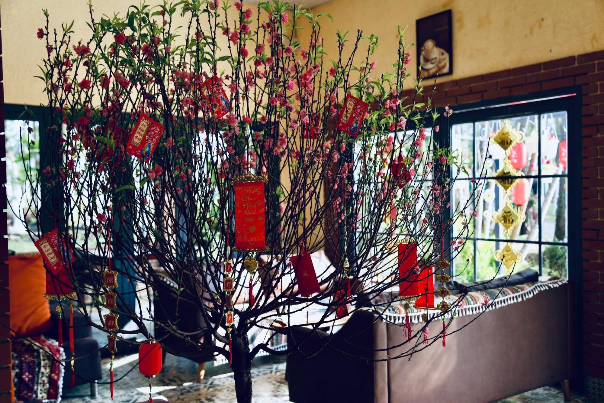 Je T'Aime Villa - Khu Nghi Duong Nha Vuon Nam Giua Thien Nhien Bao La Hoa Co Bao Loc Exteriér fotografie