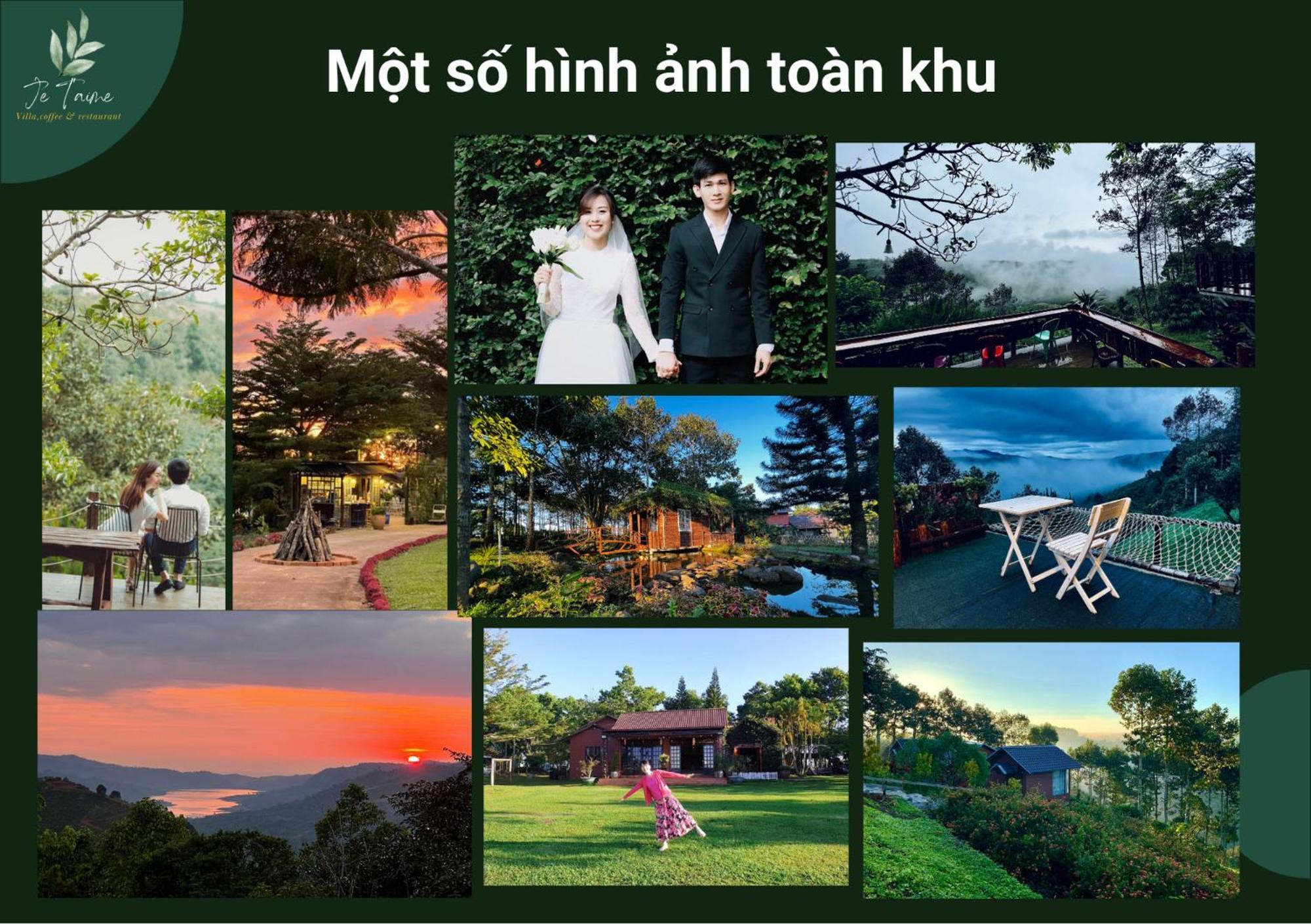 Je T'Aime Villa - Khu Nghi Duong Nha Vuon Nam Giua Thien Nhien Bao La Hoa Co Bao Loc Exteriér fotografie
